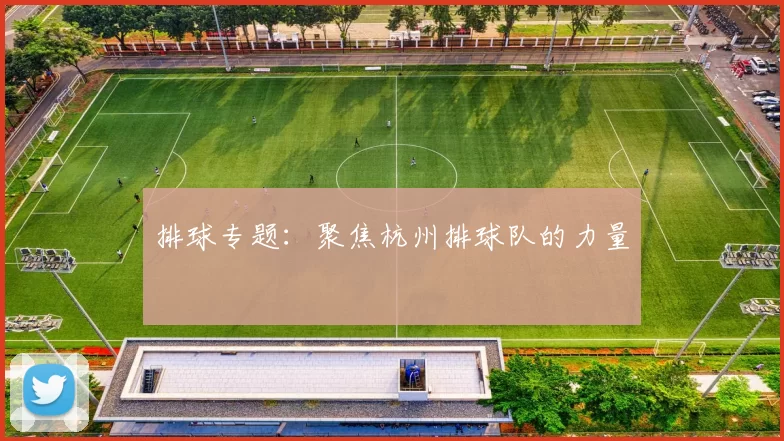 排球专题：聚焦杭州排球队的力量